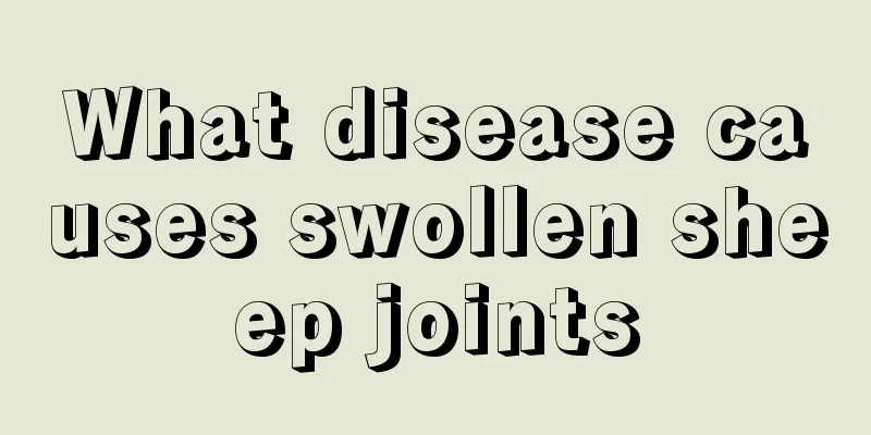 What disease causes swollen sheep joints