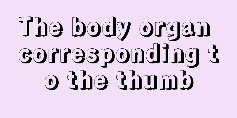 The body organ corresponding to the thumb