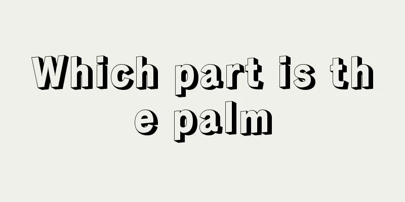 Which part is the palm
