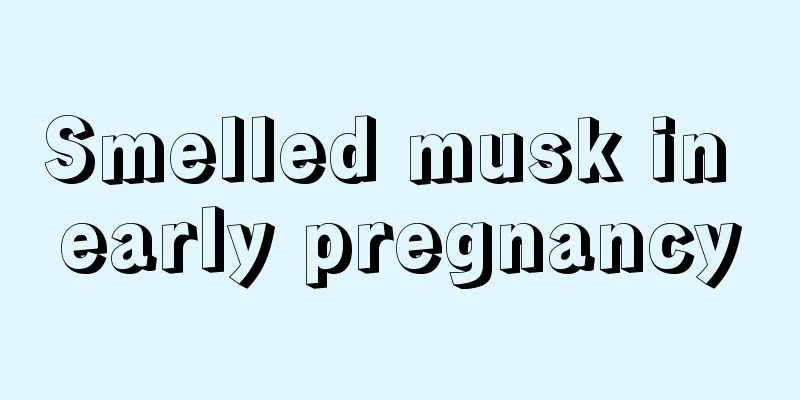 Smelled musk in early pregnancy