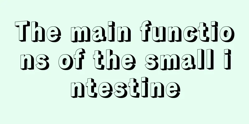 The main functions of the small intestine