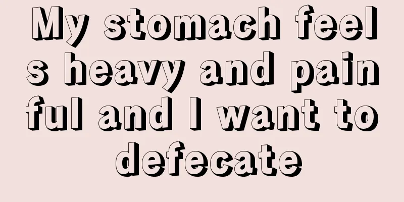 My stomach feels heavy and painful and I want to defecate