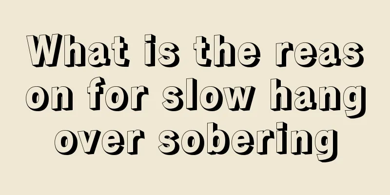 What is the reason for slow hangover sobering