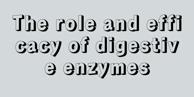 The role and efficacy of digestive enzymes