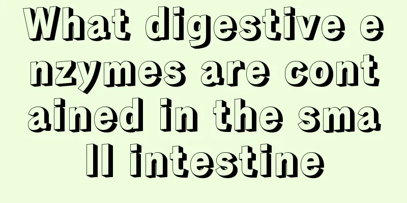 What digestive enzymes are contained in the small intestine