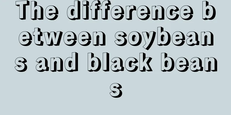 The difference between soybeans and black beans