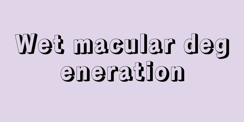 Wet macular degeneration