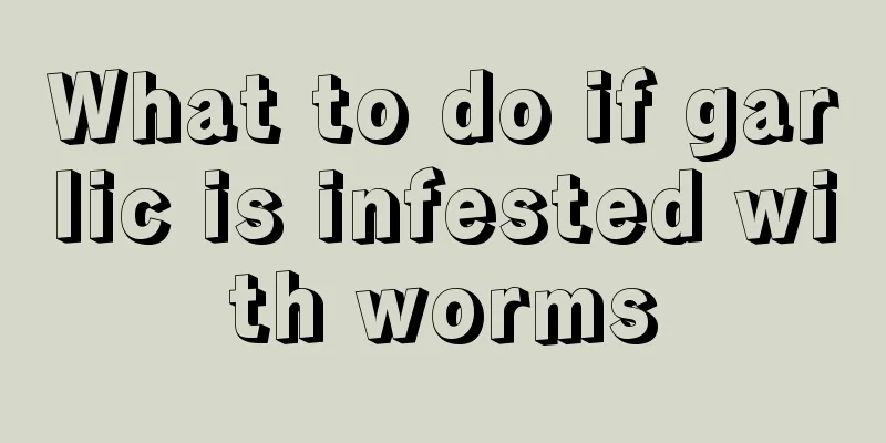 What to do if garlic is infested with worms