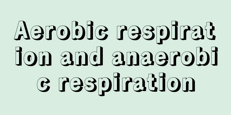 Aerobic respiration and anaerobic respiration