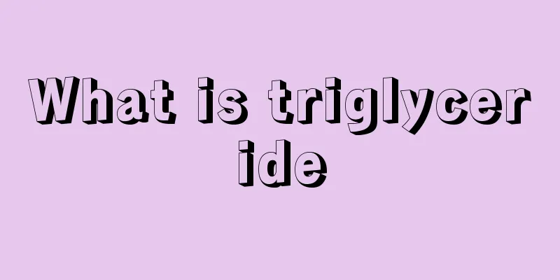 What is triglyceride
