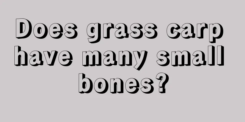Does grass carp have many small bones?