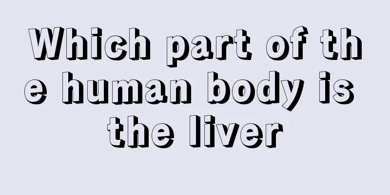 Which part of the human body is the liver