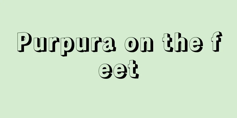 Purpura on the feet