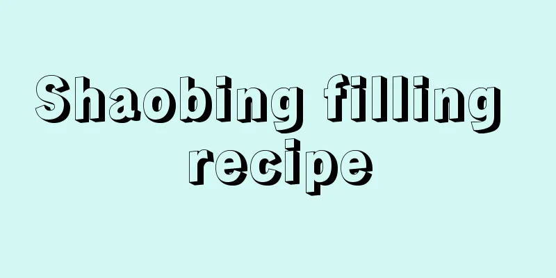 Shaobing filling recipe
