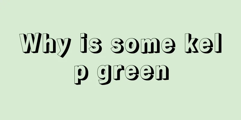 Why is some kelp green