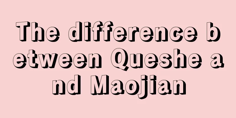The difference between Queshe and Maojian