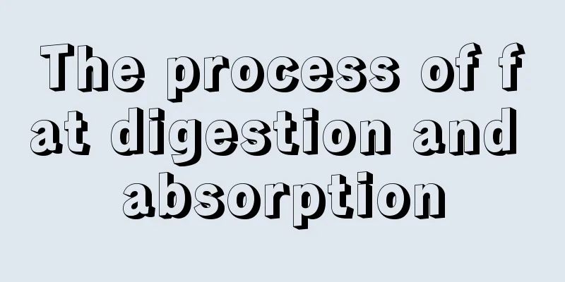 The process of fat digestion and absorption