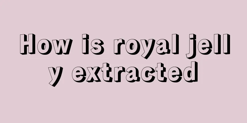 How is royal jelly extracted