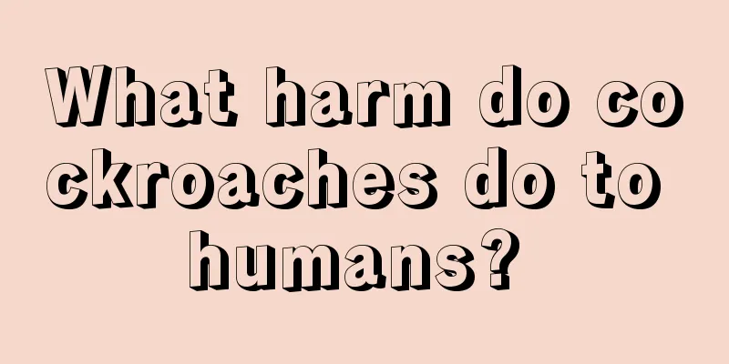 What harm do cockroaches do to humans? 