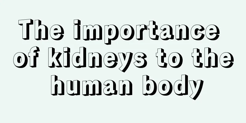 The importance of kidneys to the human body