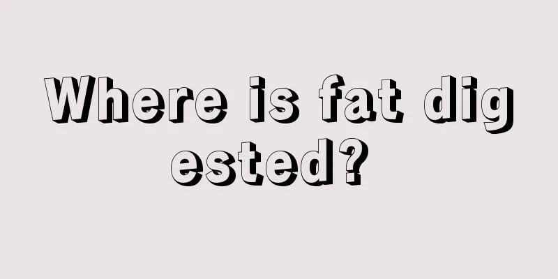 Where is fat digested? 