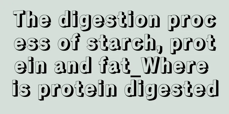 The digestion process of starch, protein and fat_Where is protein digested