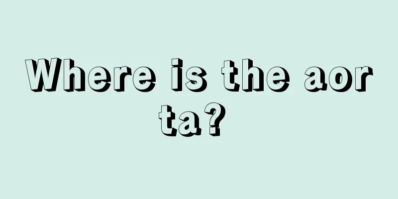 Where is the aorta? 