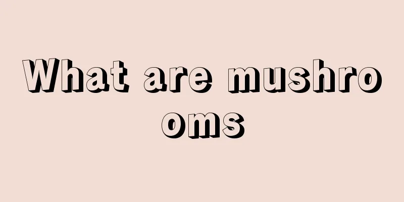 What are mushrooms