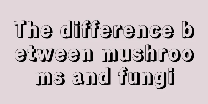The difference between mushrooms and fungi