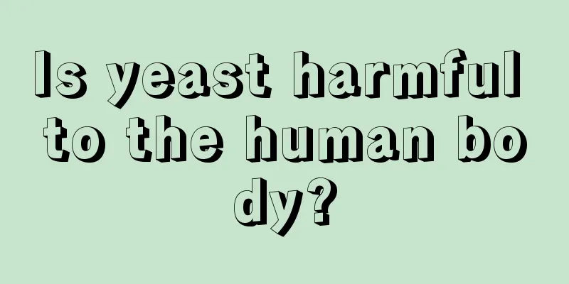 Is yeast harmful to the human body?