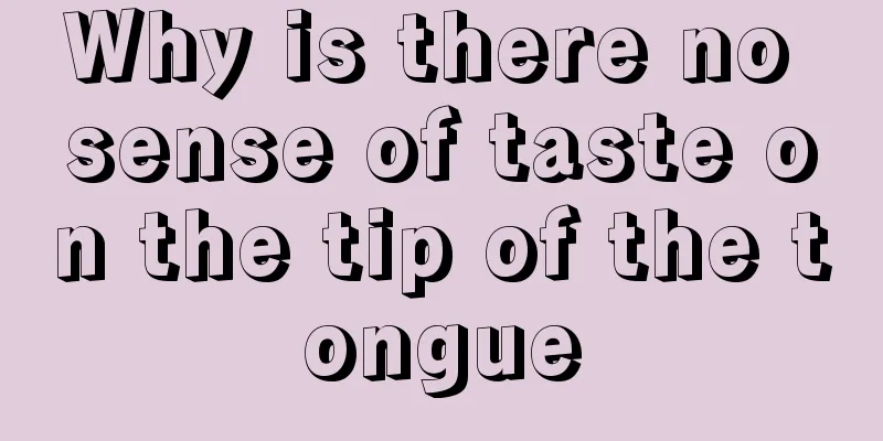 Why is there no sense of taste on the tip of the tongue
