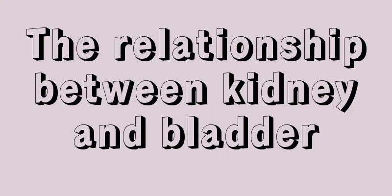 The relationship between kidney and bladder