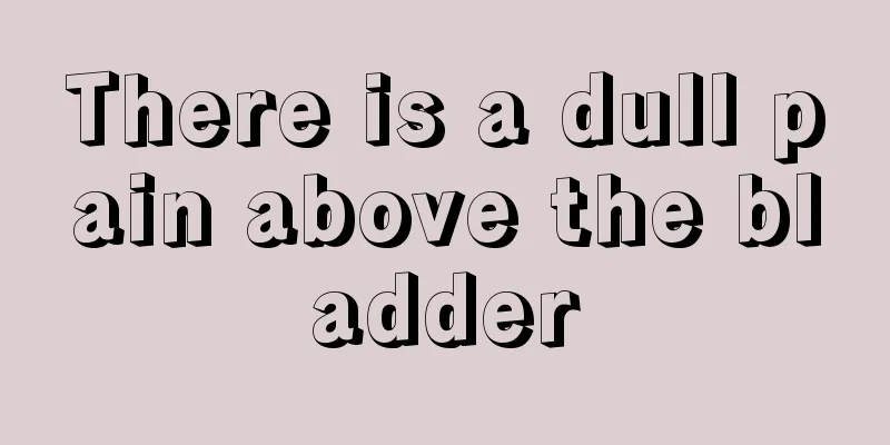 There is a dull pain above the bladder