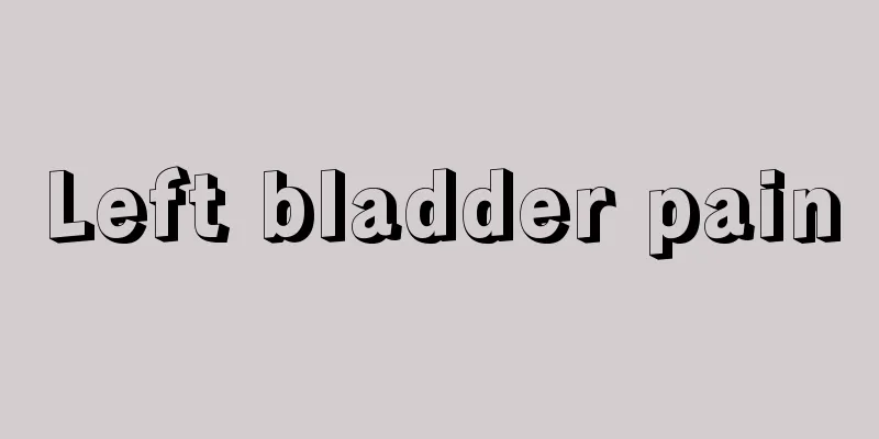 Left bladder pain