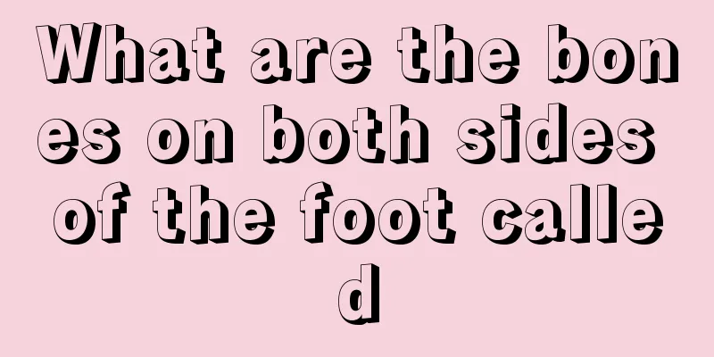 What are the bones on both sides of the foot called