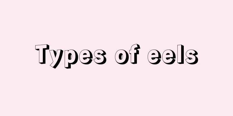 Types of eels