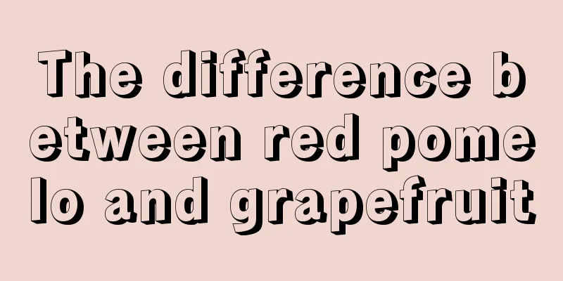The difference between red pomelo and grapefruit