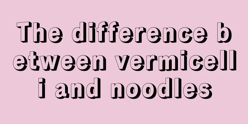 The difference between vermicelli and noodles