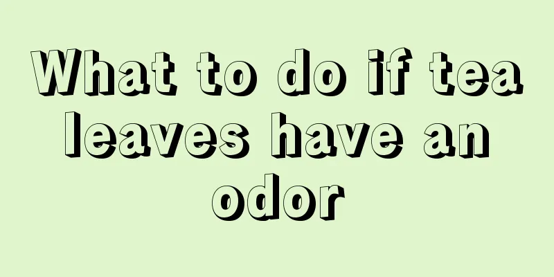 What to do if tea leaves have an odor
