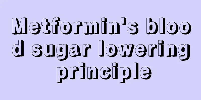 Metformin's blood sugar lowering principle