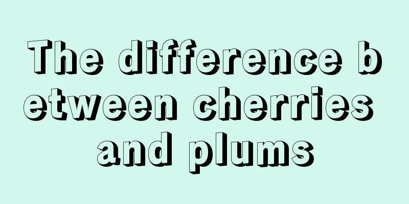 The difference between cherries and plums