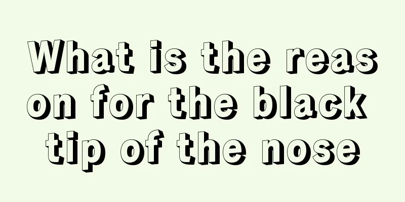 What is the reason for the black tip of the nose