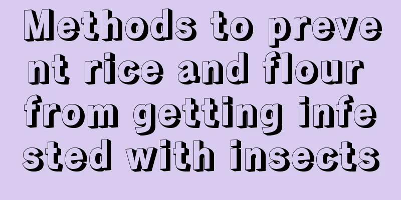 Methods to prevent rice and flour from getting infested with insects