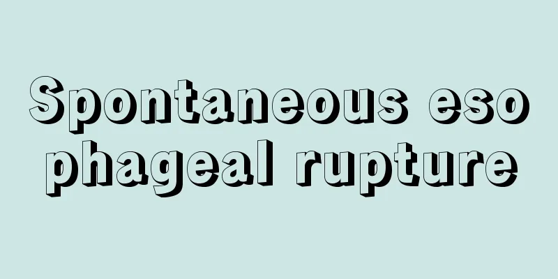 Spontaneous esophageal rupture