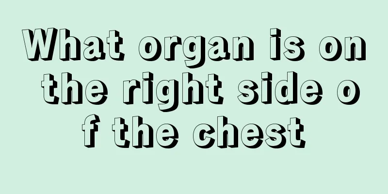 What organ is on the right side of the chest