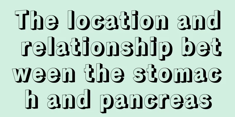 The location and relationship between the stomach and pancreas