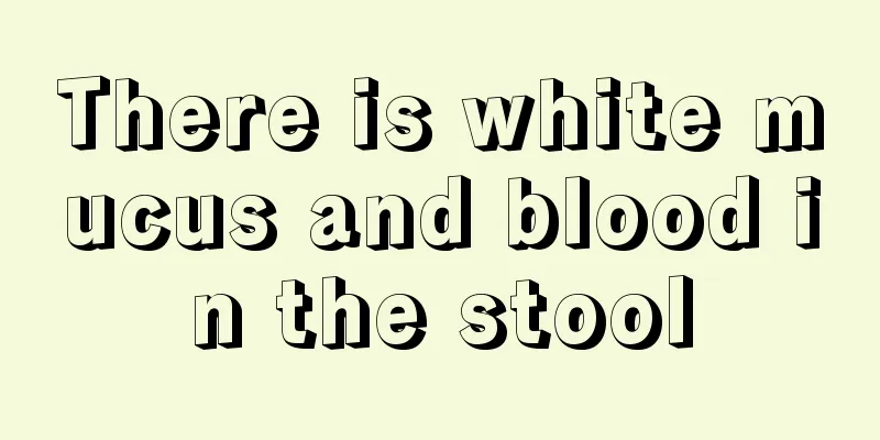 There is white mucus and blood in the stool