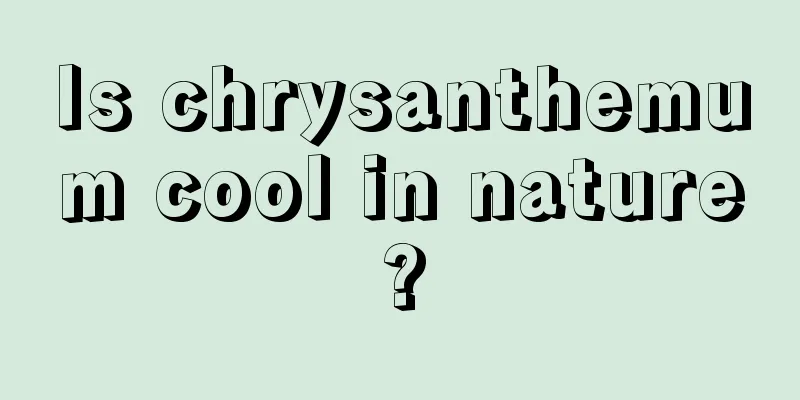Is chrysanthemum cool in nature?