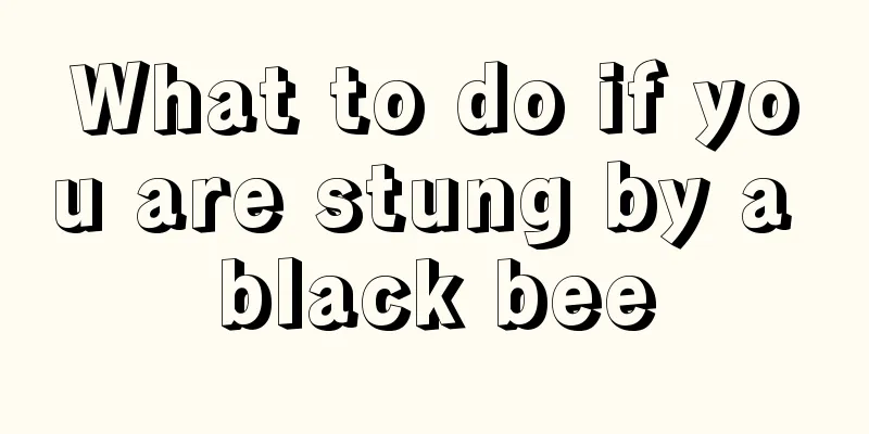 What to do if you are stung by a black bee