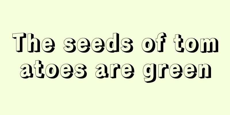 The seeds of tomatoes are green